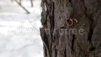 结婚戒指放在树皮上。 结婚戒指上的旧<strong>木头纹理</strong>，树皮的树。 结婚戒指